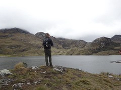 Cajas