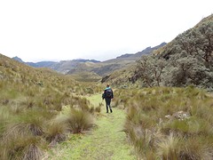 Cajas