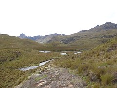 Cajas