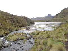 Cajas