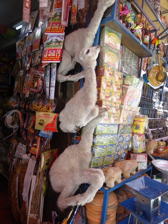 The Witch Market (en ja dat zijn dode baby lama's)