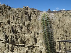 Moon Valley