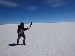 Zoutvlaktes