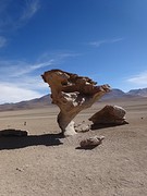 Arbol de Piedra