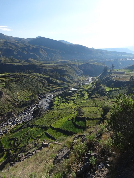 Colca Valley