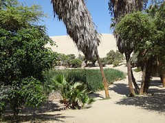 Huacachina