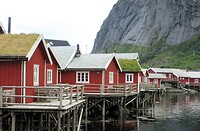Lofoten Reine 10 juli