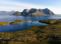 Fleina 14 juli