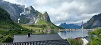 Reine