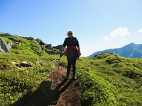 Veel wandelen