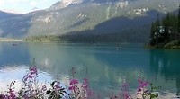 VID-20190807-WA0021
