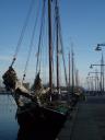 De Batavier