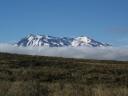 Mt. Raupehu bedekt door een ochtend wolkje