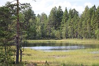 Finland