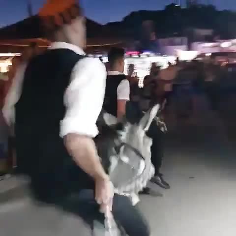 Donkeyrace