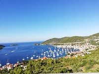 Haven Vis