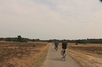 Fietsen door het Hoge Veluwe park