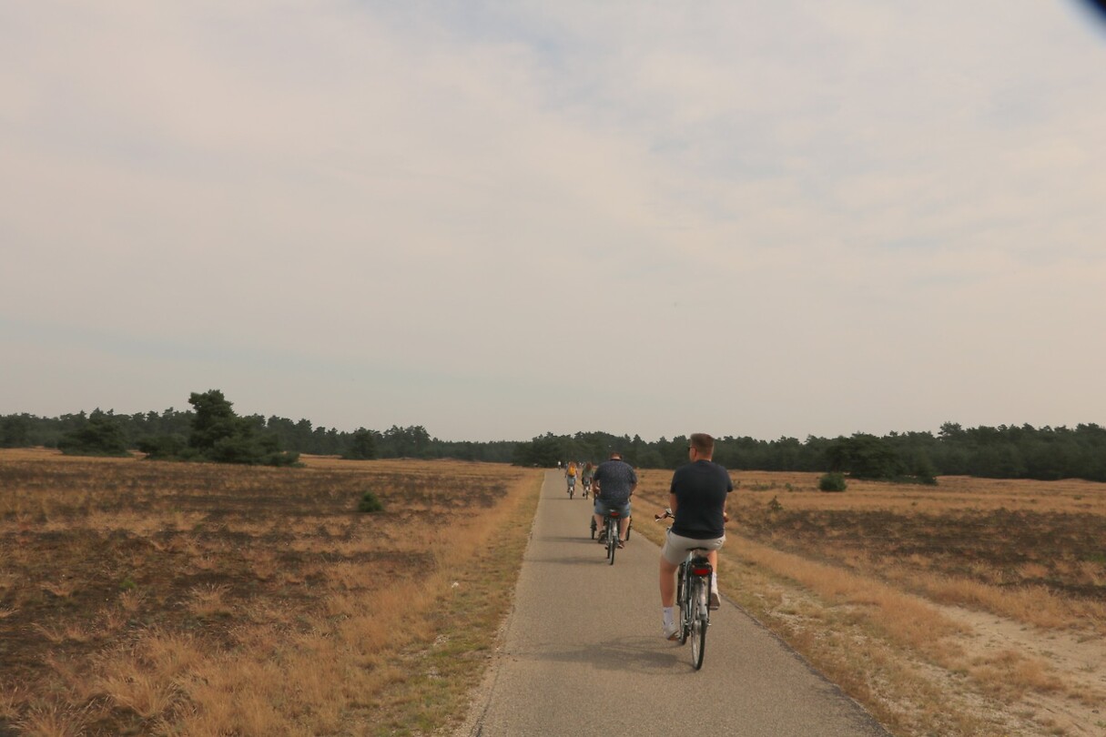 Fietsen door het Hoge Veluwe park