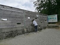 Oehoe kijkscherm