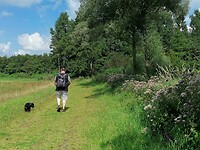 Wandelen Hagenbeek