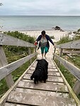 Strand Nyborg