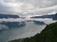 Stegestein