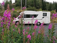 Camper onderweg