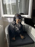 Luna in de zon