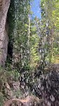 Waterval