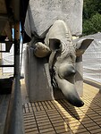 Kunst neushoorn