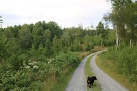 Uitlaatrondje
