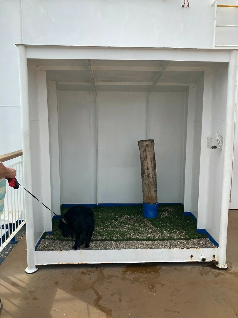 Pets area