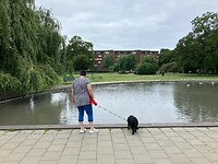 Parkje