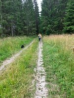 Wandeling