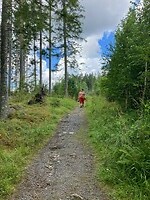 Wandeling