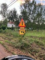 Langzaam rijden, spelende kippen