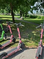 Lunchen in het park