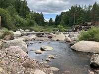 Allgunnen