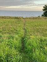 Paadje naar zee vanuit huis