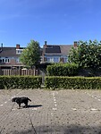 Home, sweet home