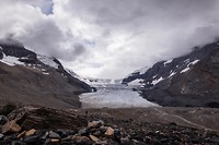 Athabaska Gletsjer