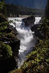 Athabasca Falls