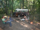 Wildkamperen