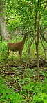 IMG_20220512_125852