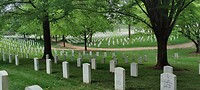 IMG_20220512_164822