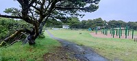 IMG_20220515_201926
