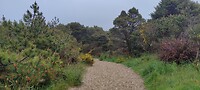 IMG_20220515_200649