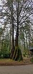 IMG_20220516_190832