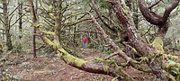 IMG_20220516_093628