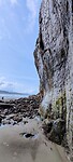 IMG_20220517_094659
